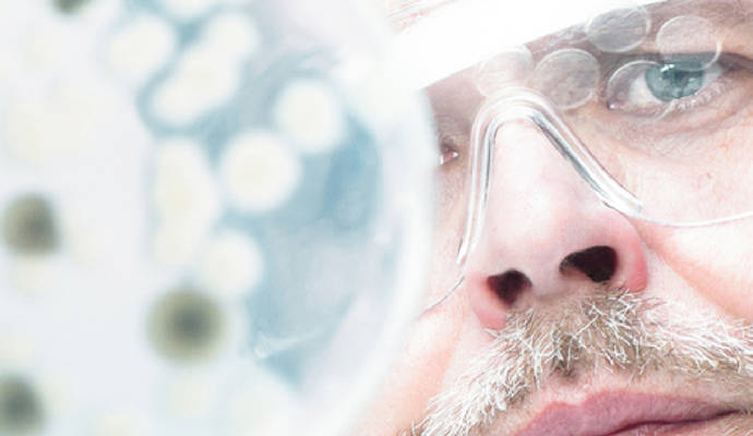 Laboratory researcher in ppe looking at petri dish