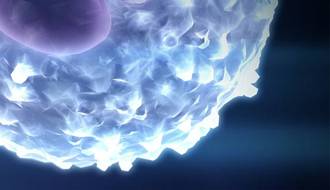 Lower part of photopheresis cells